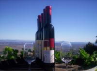 Mount Tamborine Winery & Homestead - Accommodation NSW 0