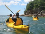 Sydney Harbour Kayaks - Accommodation NSW 1