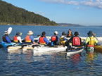 Sydney Harbour Kayaks - Accommodation NSW 2