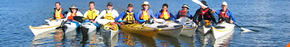 Sydney Harbour Kayaks - Accommodation NSW 3