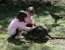 Urimbirra Wildlife Park - Accommodation NSW 1