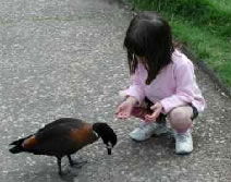 Urimbirra Wildlife Park - Accommodation NSW 3