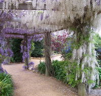 Abingdon Miniature Village - Accommodation NSW