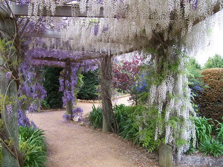 Abingdon Miniature Village - Accommodation NSW 0