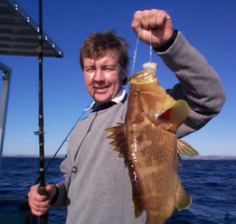 Downunder Charters - Accommodation NSW 0