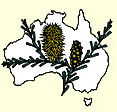 Australian National Botanic Gardens - Accommodation NSW