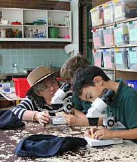 Australian National Botanic Gardens - Accommodation NSW 2