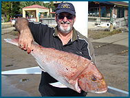 Odyssey Charters - Accommodation NSW 1