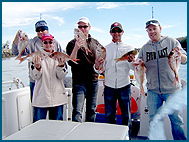 Odyssey Charters - Accommodation NSW 2