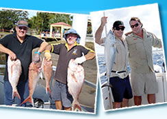 Odyssey Charters - Accommodation NSW 3