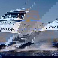 Sunshine Coast Fishing Charters - Accommodation NSW 0