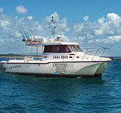 Sunshine Coast Fishing Charters - Accommodation NSW 1