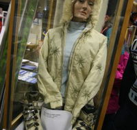 Alpine Museum - Accommodation NSW