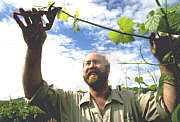 Barossa Experience Tours - Accommodation NSW 0