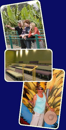 Big Banana - Accommodation NSW 2