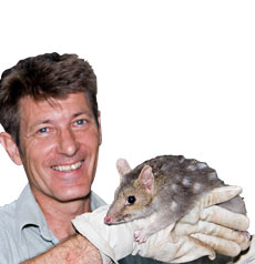 Geckoes Wildlife Presentations - Accommodation NSW 0