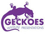 Geckoes Wildlife Presentations - Accommodation NSW 3