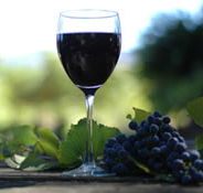 Lion Mill Vineyards - Accommodation NSW