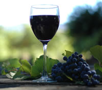 Lion Mill Vineyards - Accommodation NSW 0