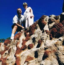 Mystery Craters - Accommodation NSW 2
