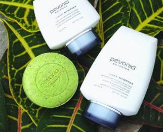 AQueous Spa - Accommodation NSW 1