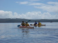 Kanu Kapers - Accommodation NSW 2