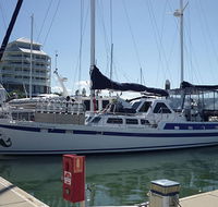 Coral Sea Dreaming Dive and Sail - Accommodation NSW