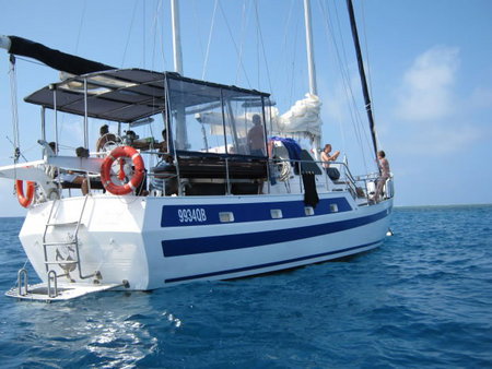 Coral Sea Dreaming Dive And Sail - Accommodation NSW 3