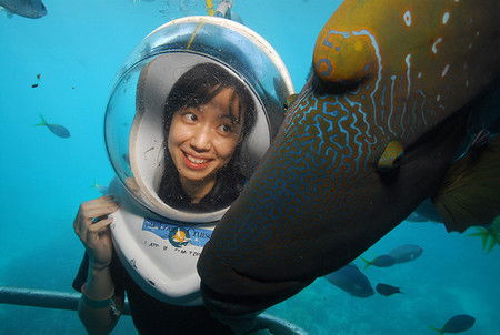 Sunlover Reef Cruises - Accommodation NSW 0