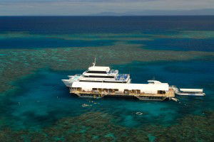 Sunlover Reef Cruises - Accommodation NSW 2