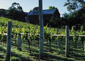 Goona Warra Vineyard - Accommodation NSW 1