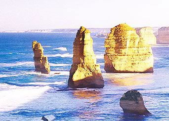 Bunyip Tours - Accommodation NSW 3