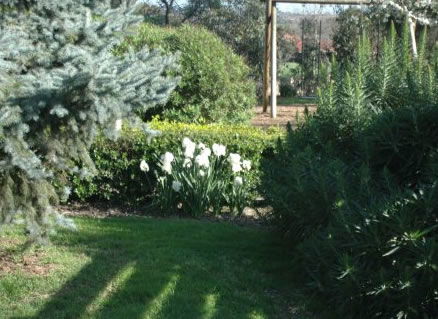 The Old Cheese Factory - Accommodation NSW 2