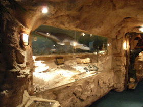 The National Opal Collection - Accommodation NSW 2