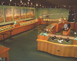 The National Opal Collection - Accommodation NSW 3