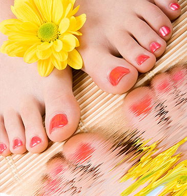 Heavenly Oasis Hair & Beauty Day Spa - Accommodation NSW 2