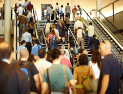 Brisbane Convention & Exhibition Centre - Accommodation NSW 5