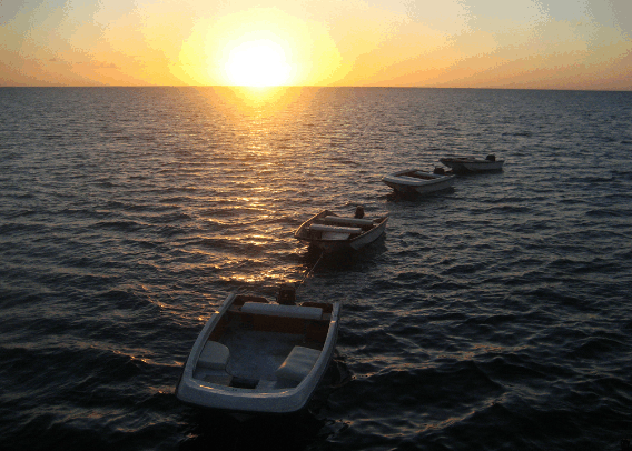 Carlo Fishing Charters - Accommodation NSW 2