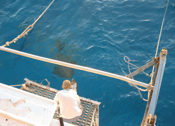Carlo Fishing Charters - Accommodation NSW 4