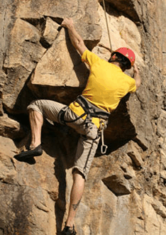 Adventures Around Brisbane - Accommodation NSW 3