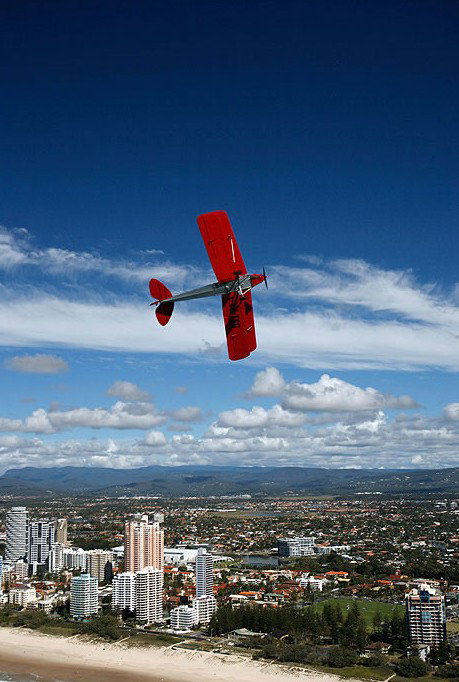 Tigermoth Joy Rides - Accommodation NSW 1