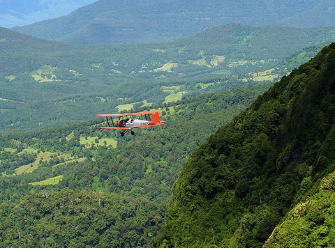 Tigermoth Joy Rides - Accommodation NSW 4