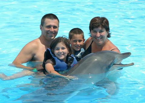 Dolphin Marine Magic - Accommodation NSW 2