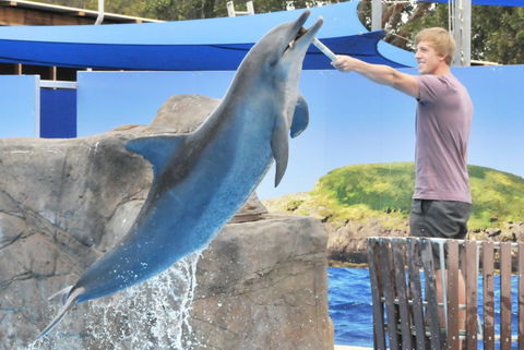 Dolphin Marine Magic - Accommodation NSW 7