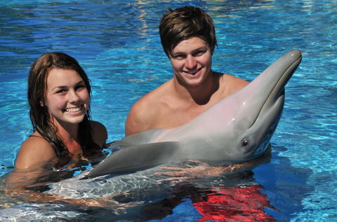 Dolphin Marine Magic - Accommodation NSW 8