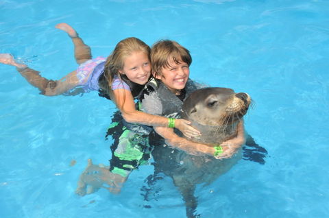 Dolphin Marine Magic - Accommodation NSW 9
