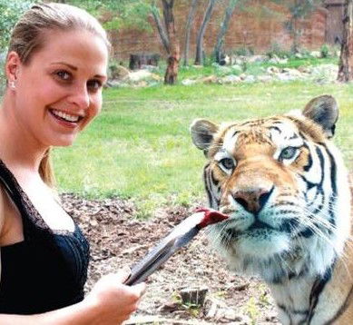 National Zoo & Aquarium - Accommodation NSW 4