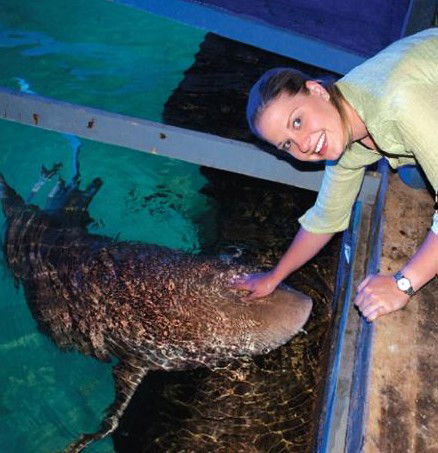 National Zoo & Aquarium - Accommodation NSW 7