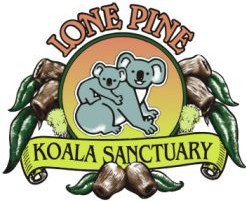 Lone Pine Koala Sanctuary - Accommodation NSW 0