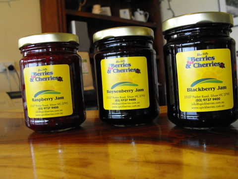 Blue Hills Berries & Cherries - Accommodation NSW 1